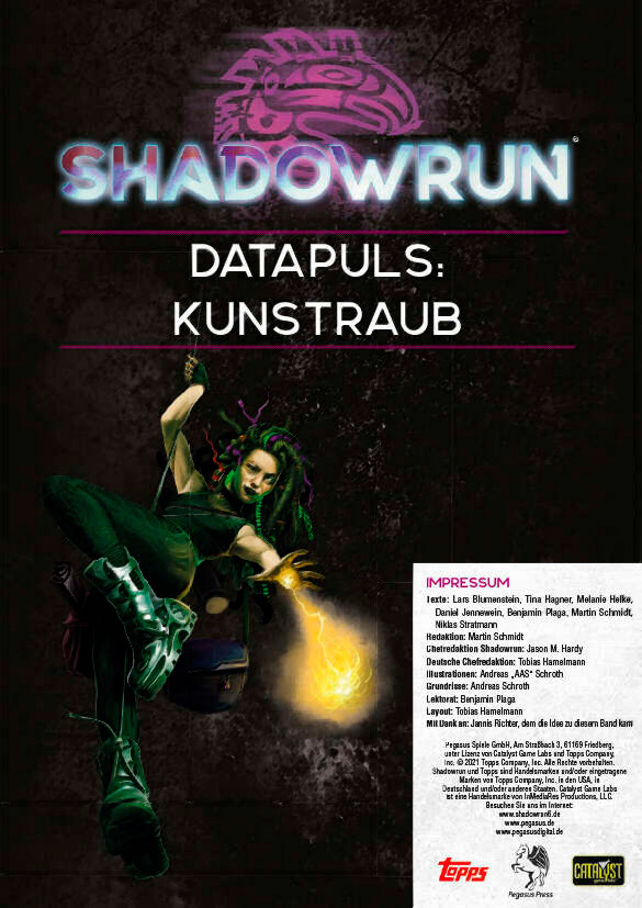 Cover SR6 Datapuls Kunstraub